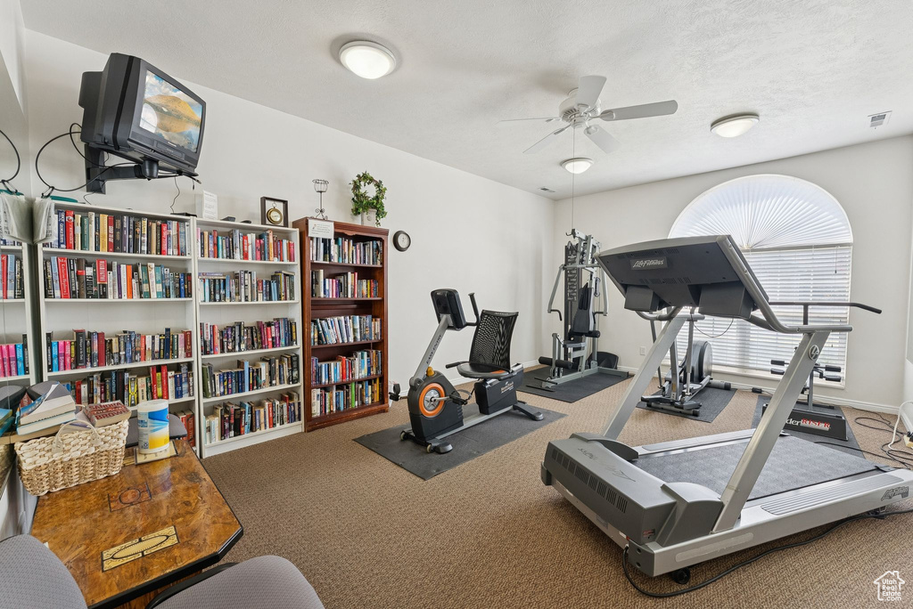 Exercise area with carpet floors and a ceiling fan