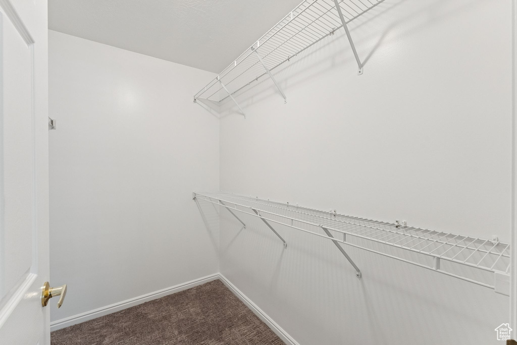 Walk in closet featuring dark carpet
