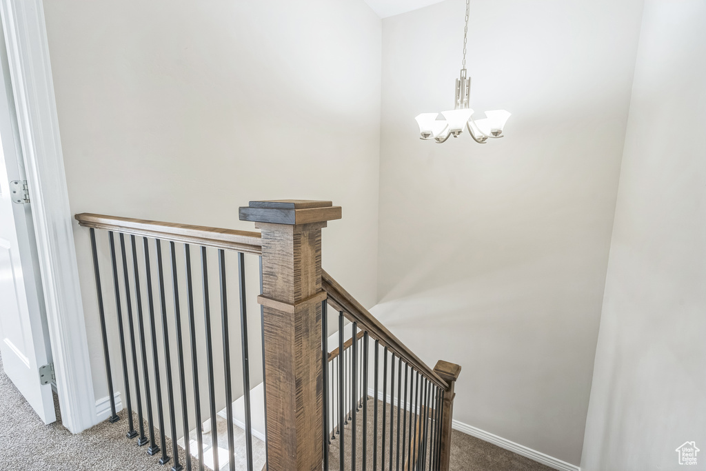Stairway with carpet flooring and a chandelier