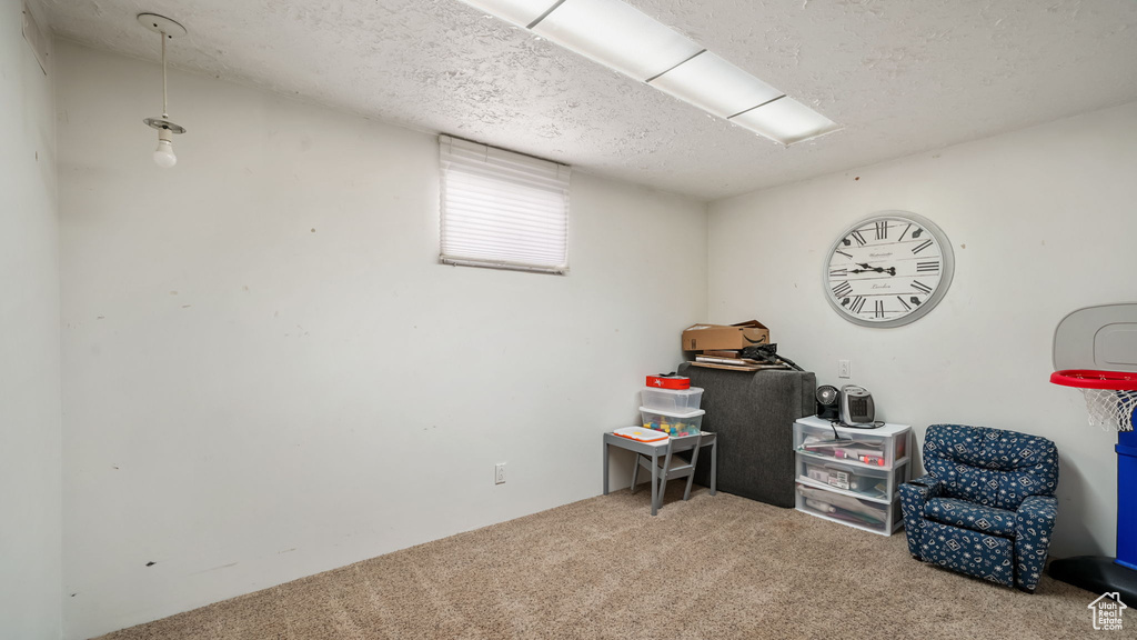Misc room with carpet flooring and a textured ceiling