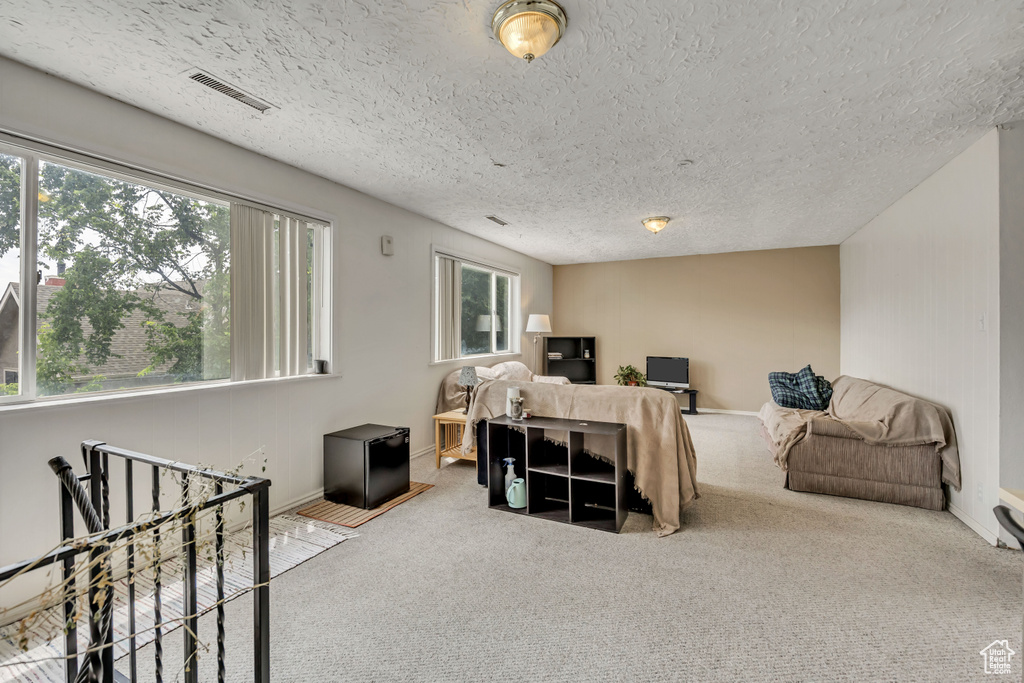 Living area with plenty of natural light, carpet floors, and a textured ceiling