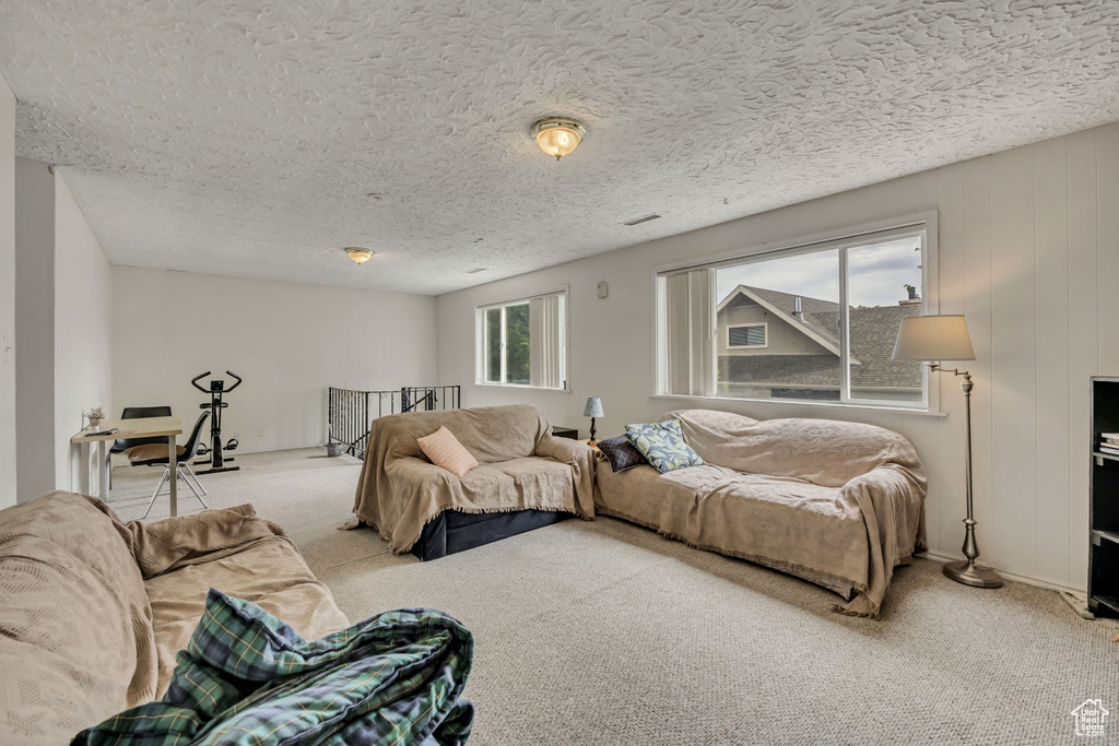 Living area featuring carpet floors and a textured ceiling