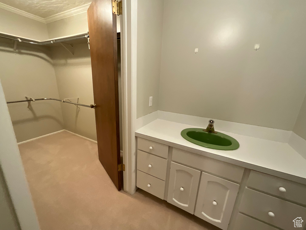 Bathroom featuring crown molding, vanity, and a walk in closet