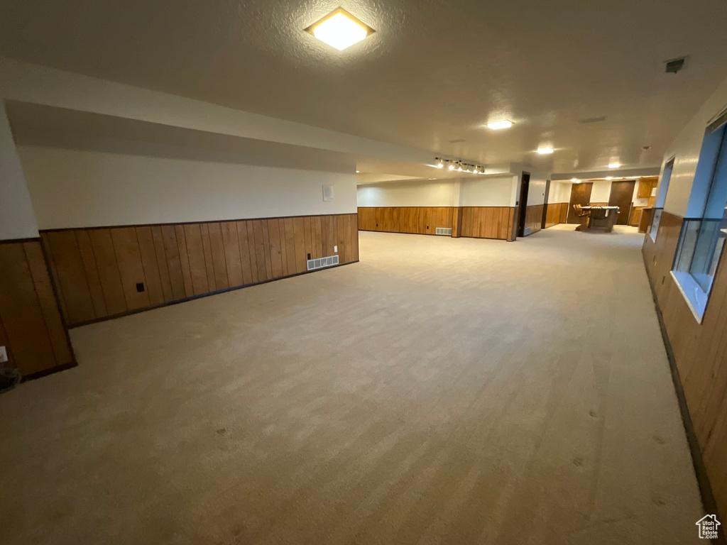 Finished below grade area featuring wood walls, wainscoting, and carpet