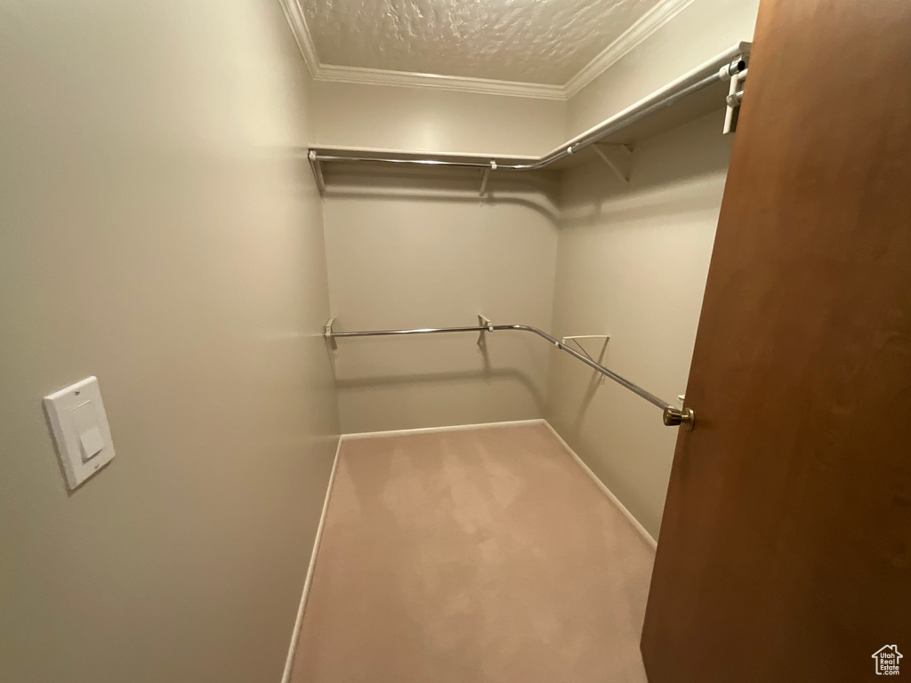 Walk in closet featuring carpet floors