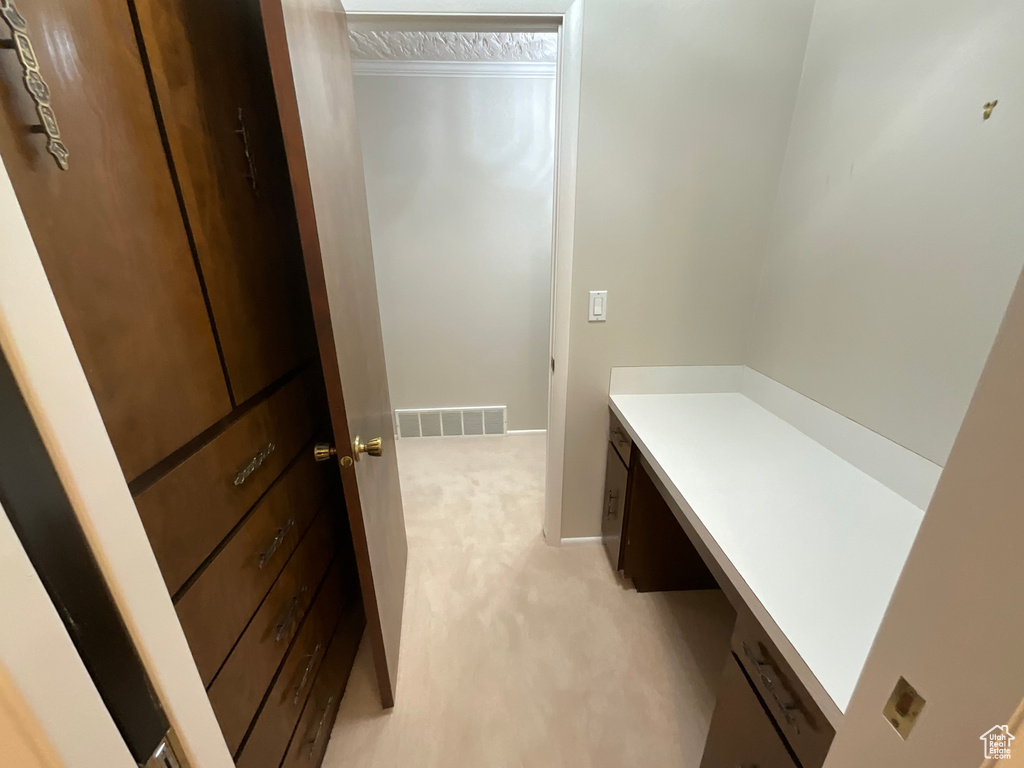 Mudroom featuring light colored carpet and ornamental molding
