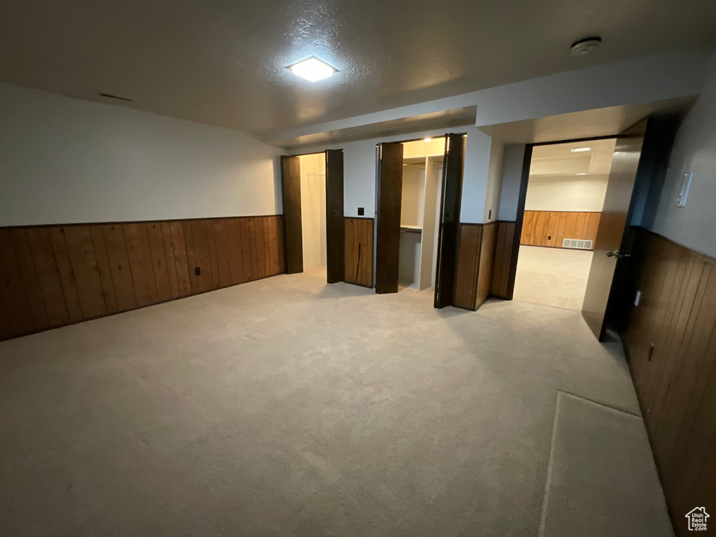 Finished basement with wainscoting, wood walls, and light carpet