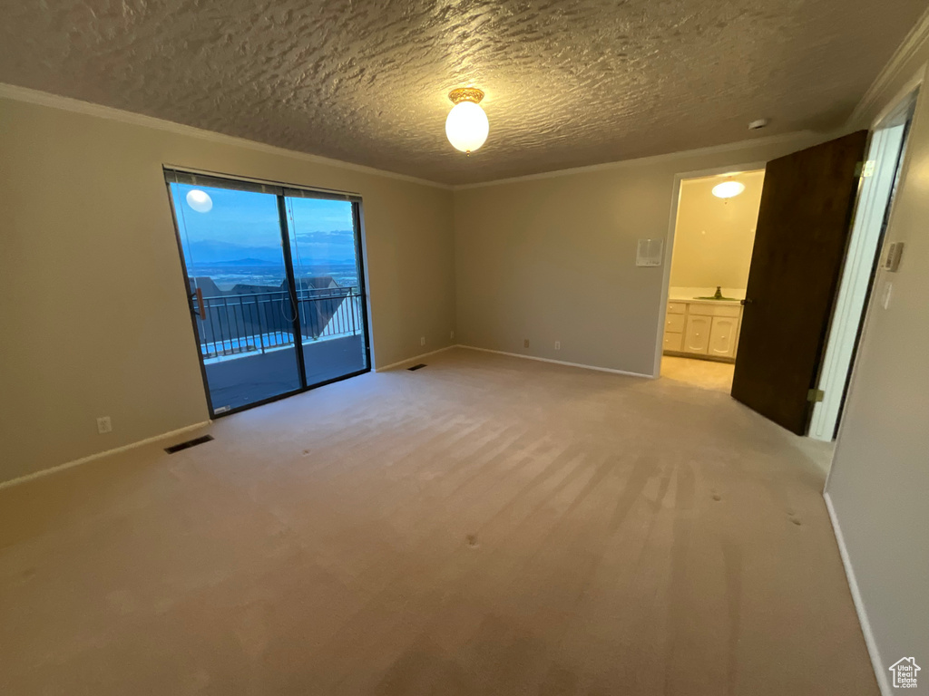 Empty room with light carpet, a textured ceiling, and crown molding