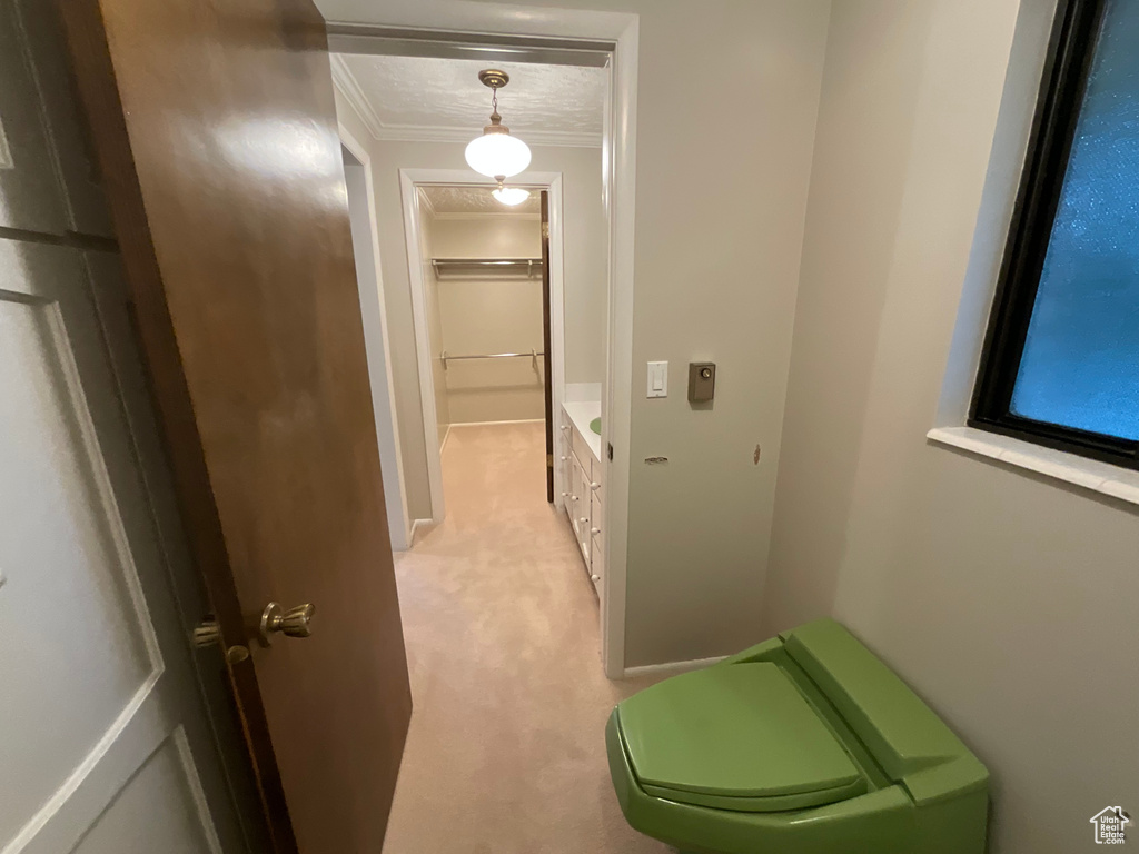 Hall featuring crown molding and light carpet