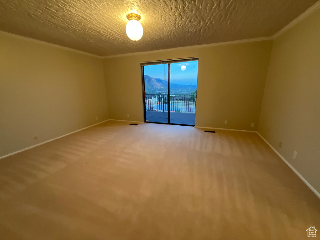 Spare room with light carpet, a textured ceiling, and crown molding