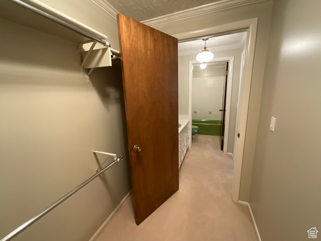 Walk in closet featuring light carpet