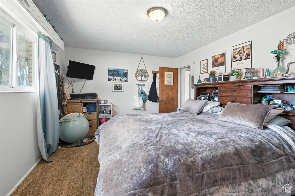 Carpeted bedroom with a textured ceiling