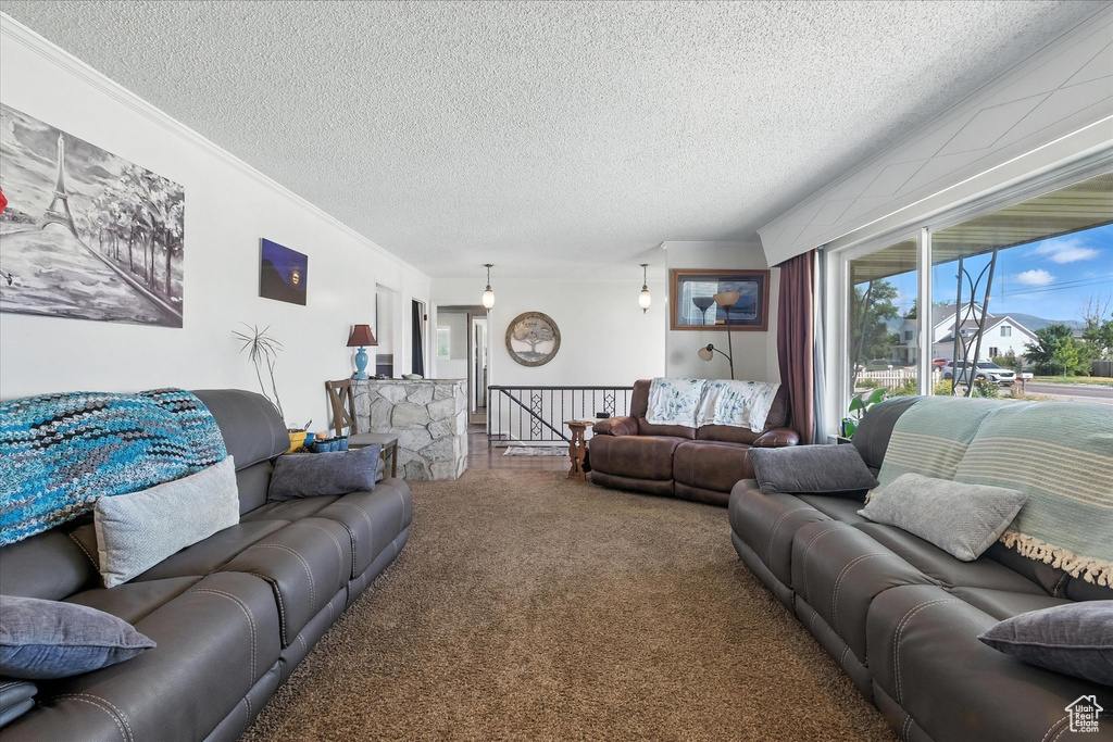 Living room with a textured ceiling and carpet