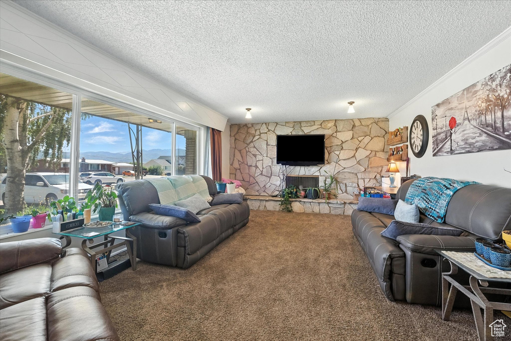Living room featuring carpet, a textured ceiling, and a fireplace