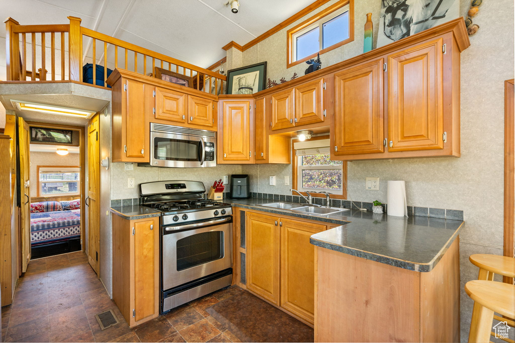 Kitchen featuring appliances with stainless steel finishes, dark countertops, healthy amount of natural light, and high vaulted ceiling
