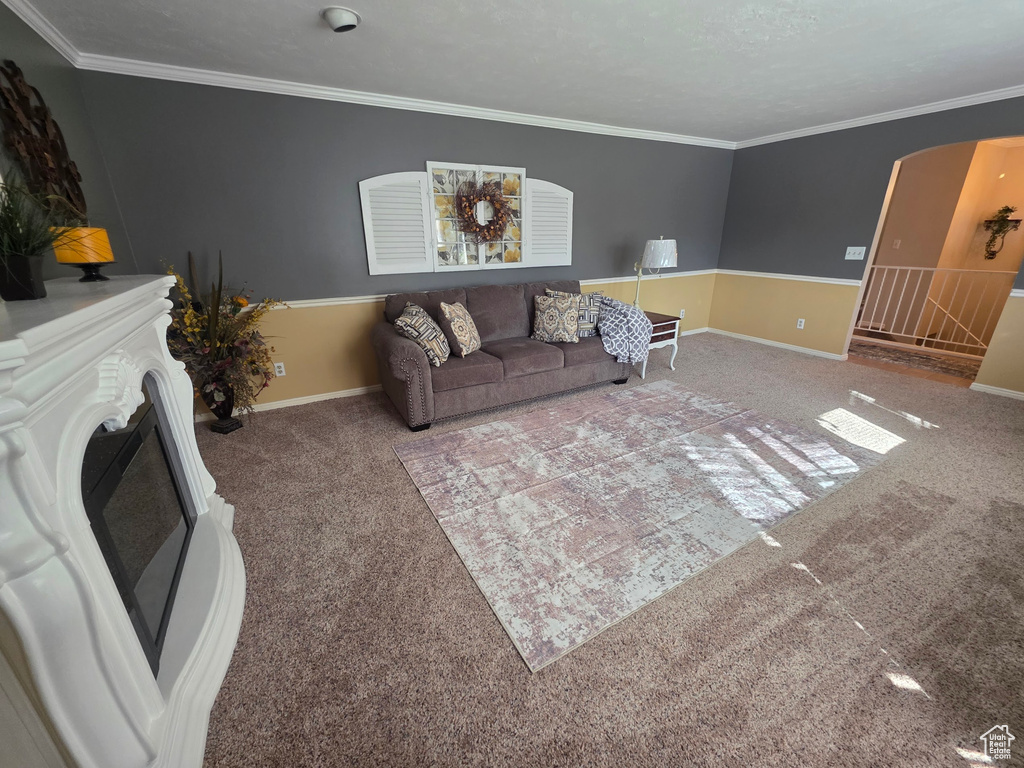 Living area featuring carpet flooring, ornamental molding, and a fireplace