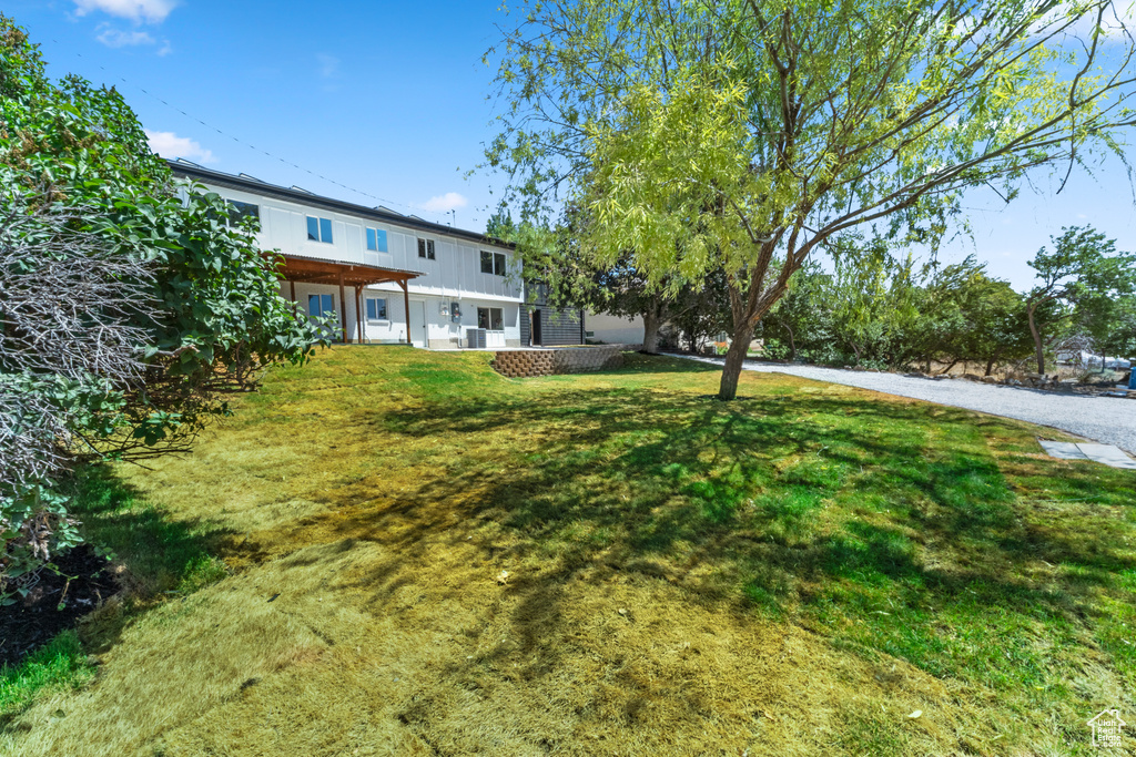 View of green lawn