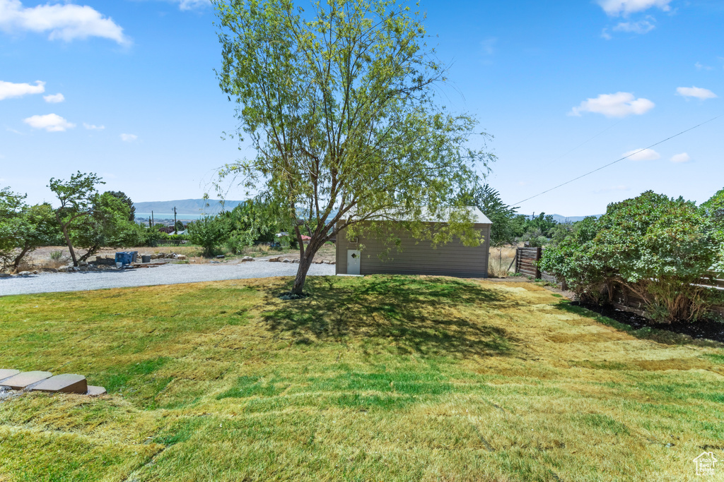 View of grassy yard