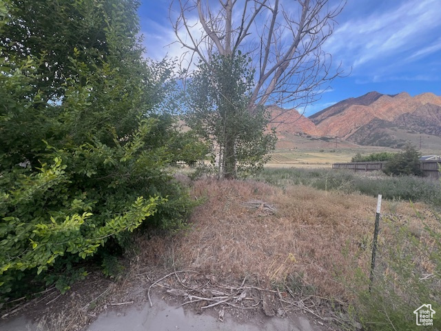 View of mountain background