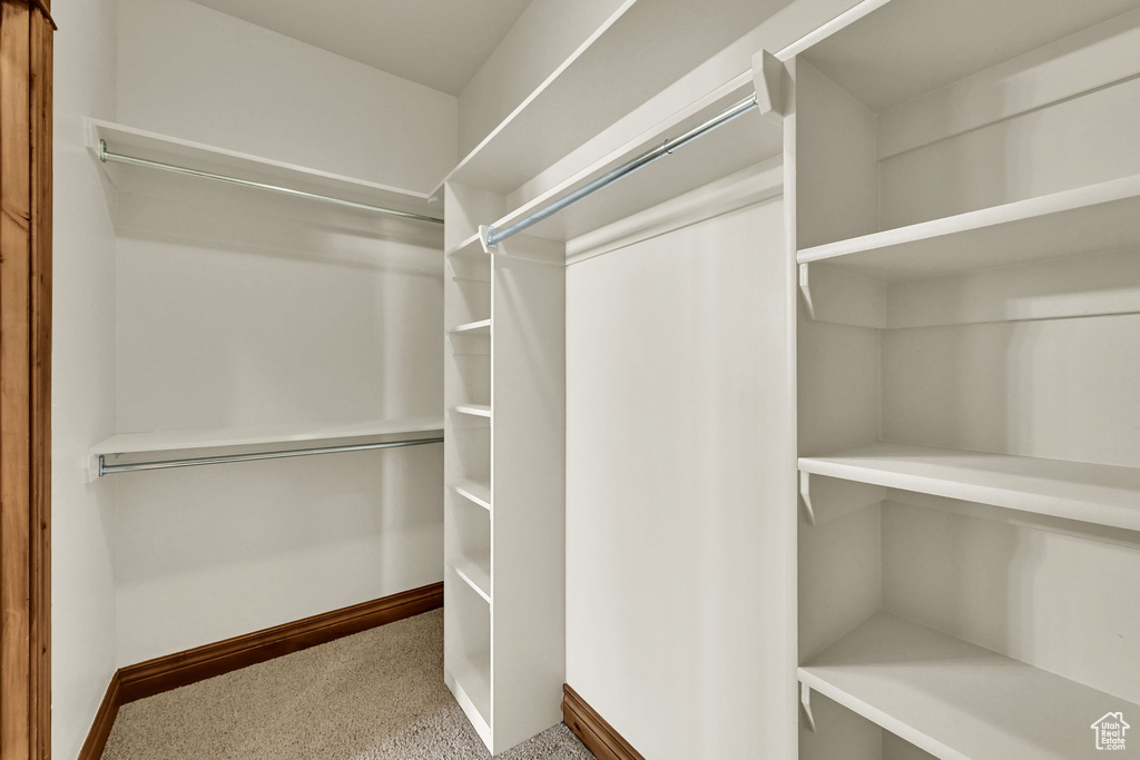 Spacious closet featuring carpet floors