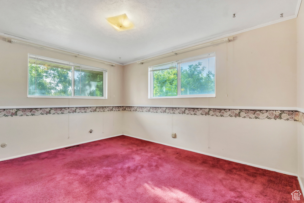 Unfurnished room featuring carpet and ornamental molding