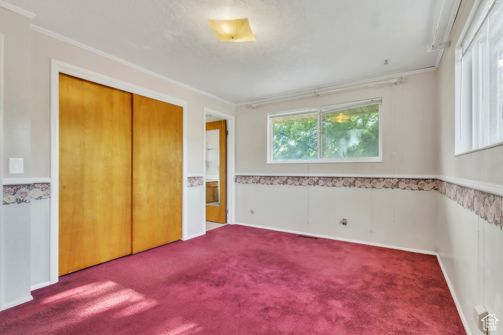 Unfurnished bedroom with carpet flooring, crown molding, and a closet
