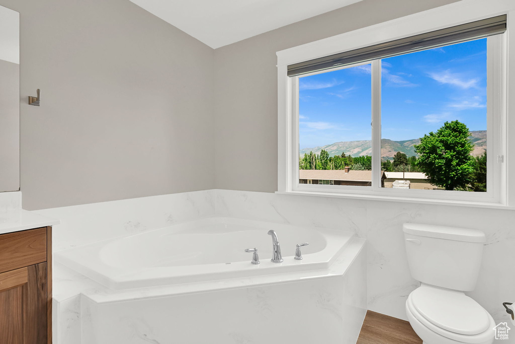 Bathroom with plenty of natural light, vanity, a bath, and a mountain view