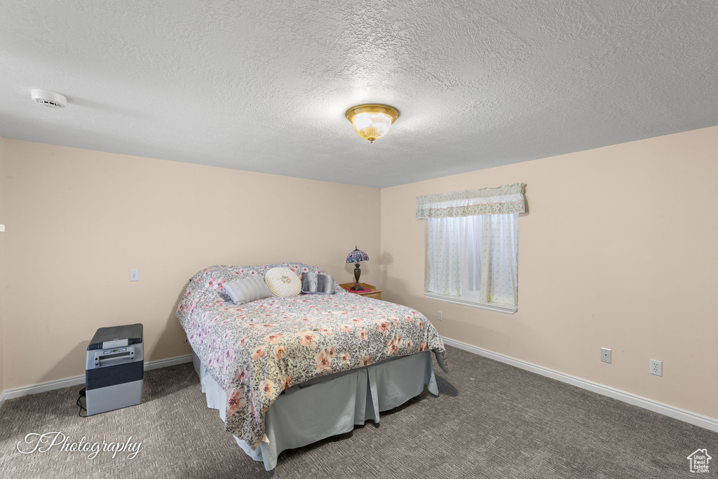 Bedroom with carpet flooring and a textured ceiling