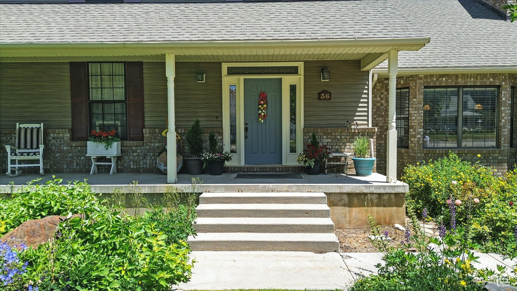 View of exterior entry featuring covered porch, roof with shingles, and brick siding