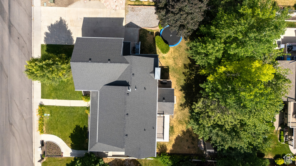 Bird\'s eye view