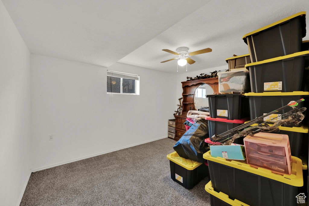 Storage room featuring ceiling fan