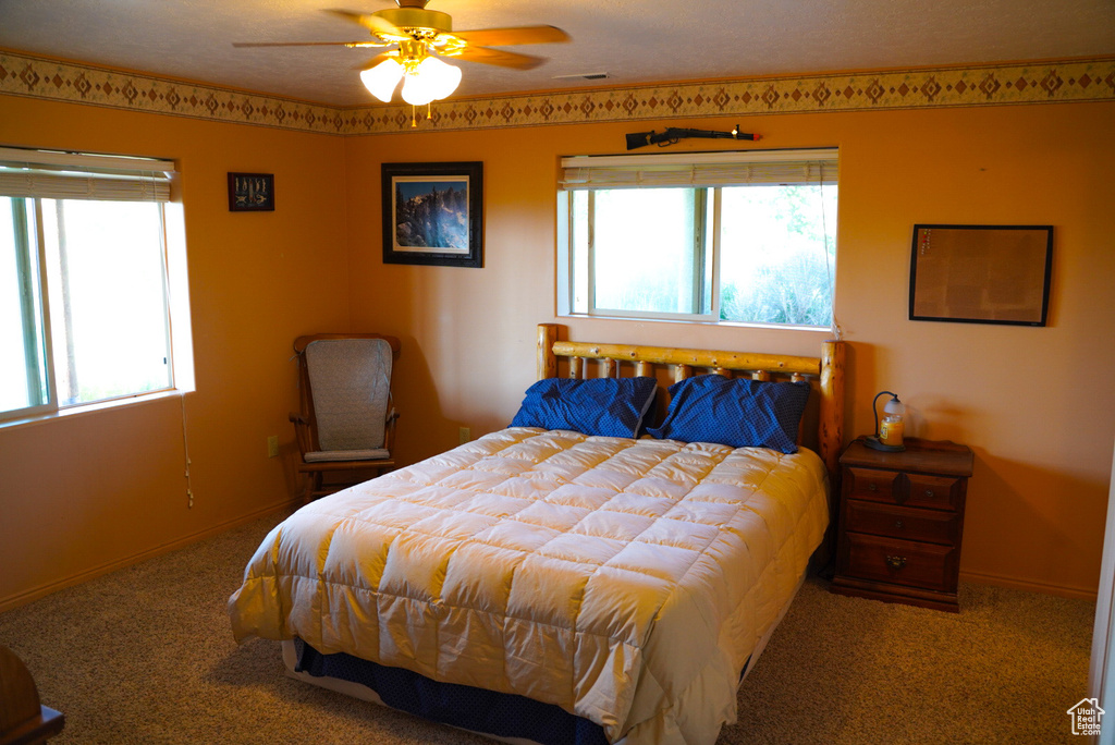 Bedroom with carpet floors and multiple windows