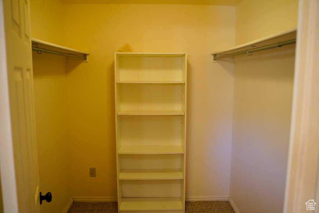 Spacious closet with carpet floors