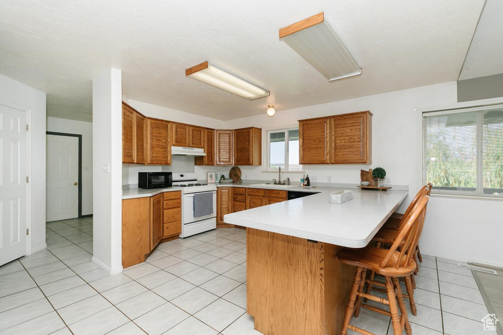 3229 E RIVERDALE RD Preston, ID 83263