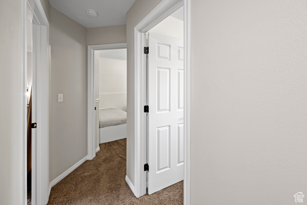 Hall with carpet floors and baseboards