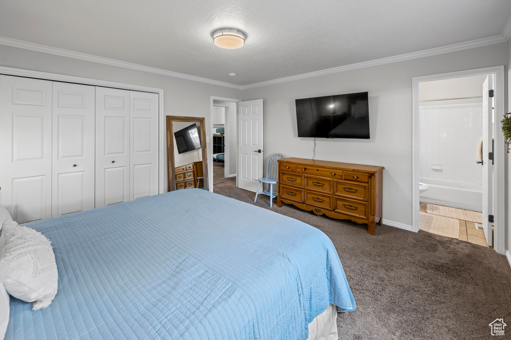 Bedroom with carpet flooring, crown molding, a closet, and connected bathroom