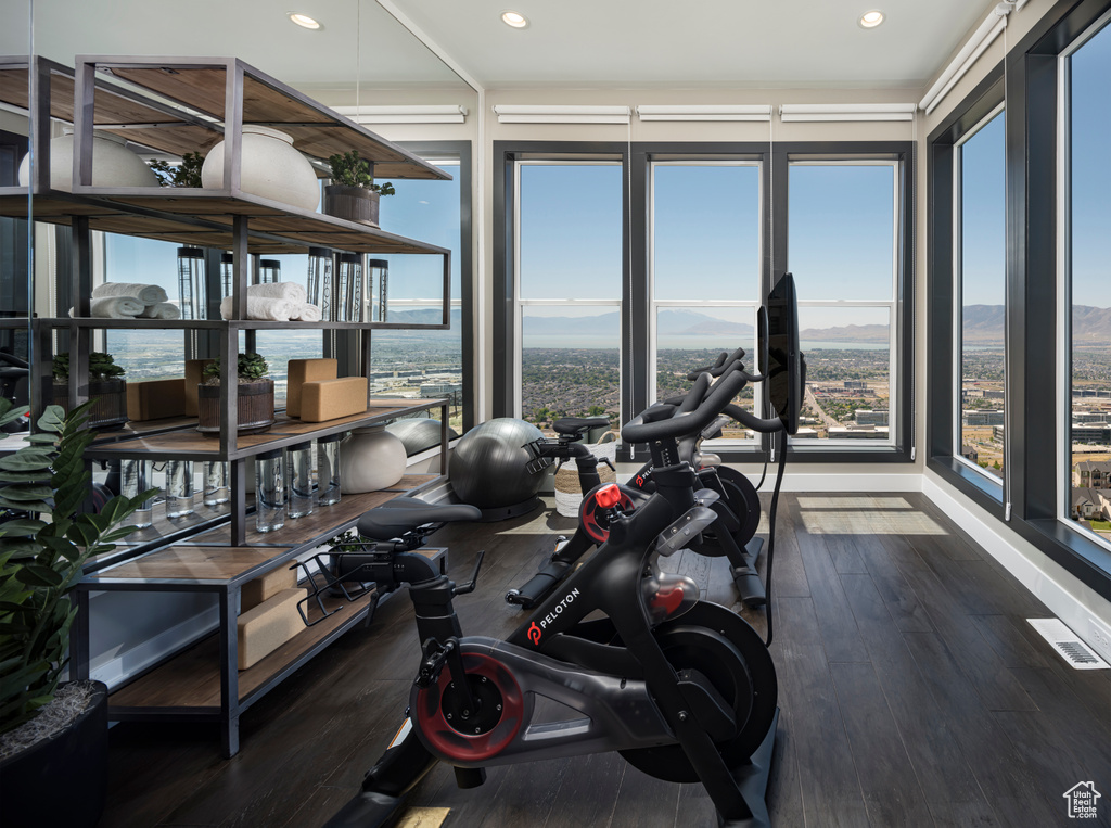 Exercise room with dark wood finished floors and a mountain view