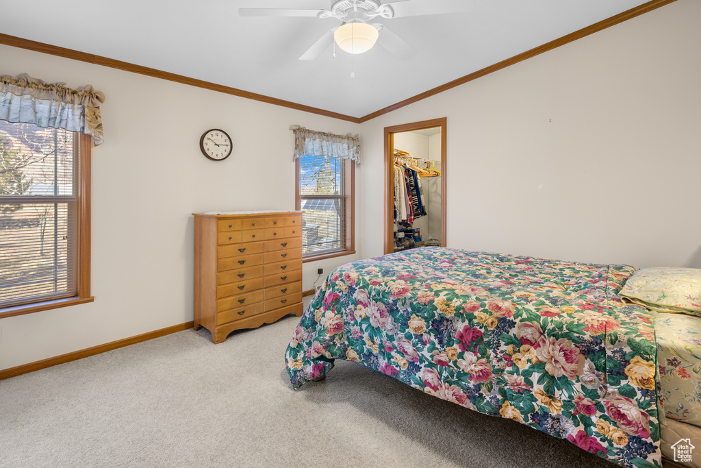 Bedroom with light colored carpet, crown molding, a spacious closet, a ceiling fan, and a closet