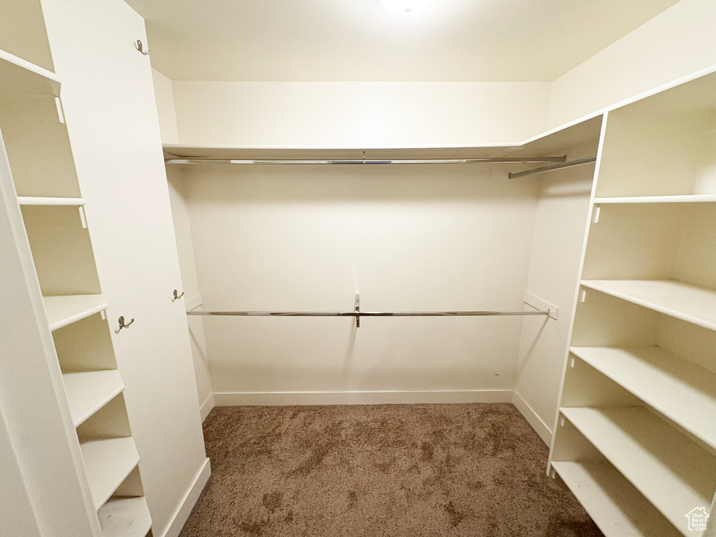 Walk in closet with carpet