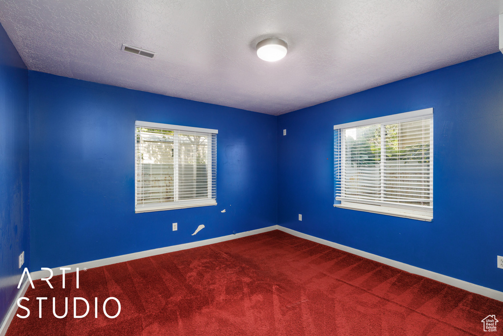 Spare room featuring plenty of natural light, carpet, and a textured ceiling