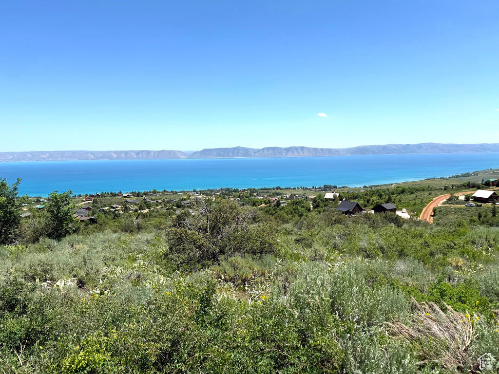 Water view featuring a mountainous background