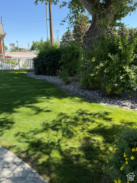 View of grassy yard