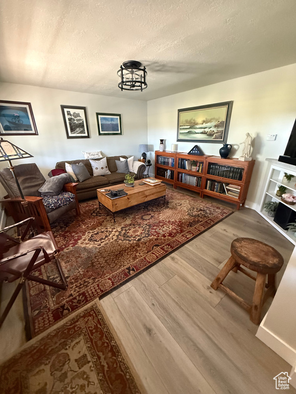 Living room featuring wood finished floors and a textured ceiling