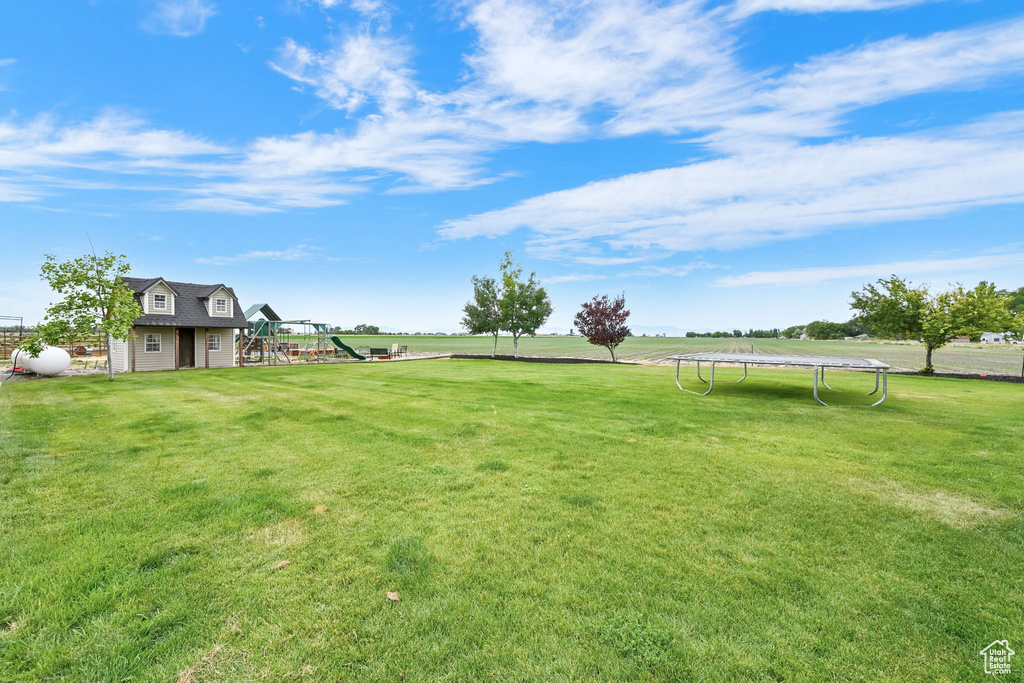 View of green lawn featuring a trampoline and a shed