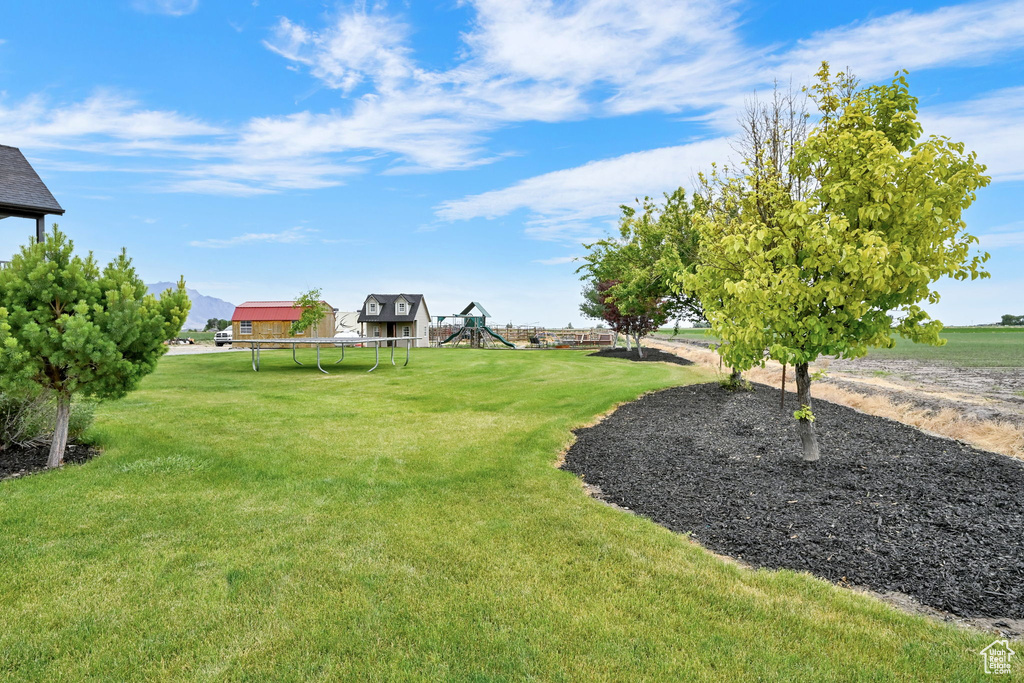 View of green lawn featuring a trampoline