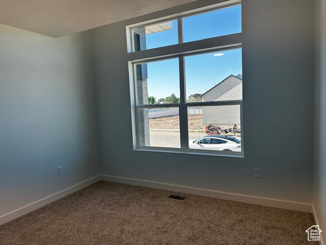 Spare room with carpet flooring, healthy amount of natural light, and a textured ceiling