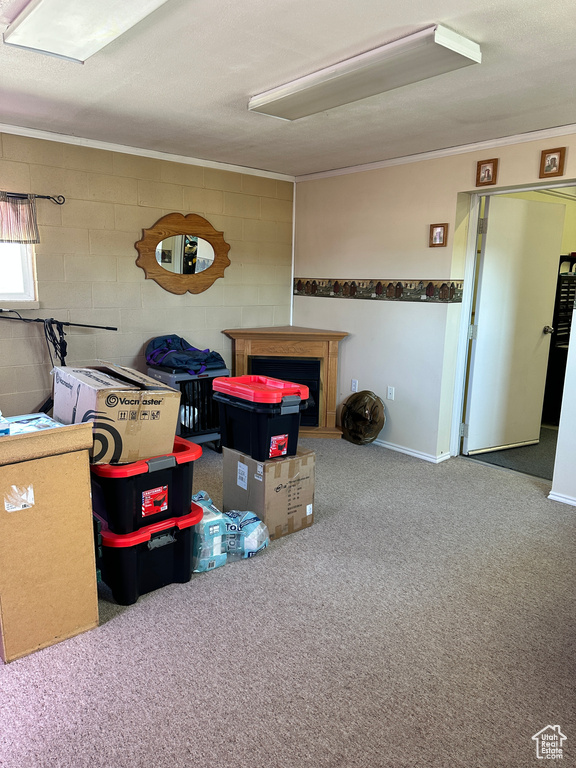 Carpeted living room with concrete block wall, crown molding, and a fireplace