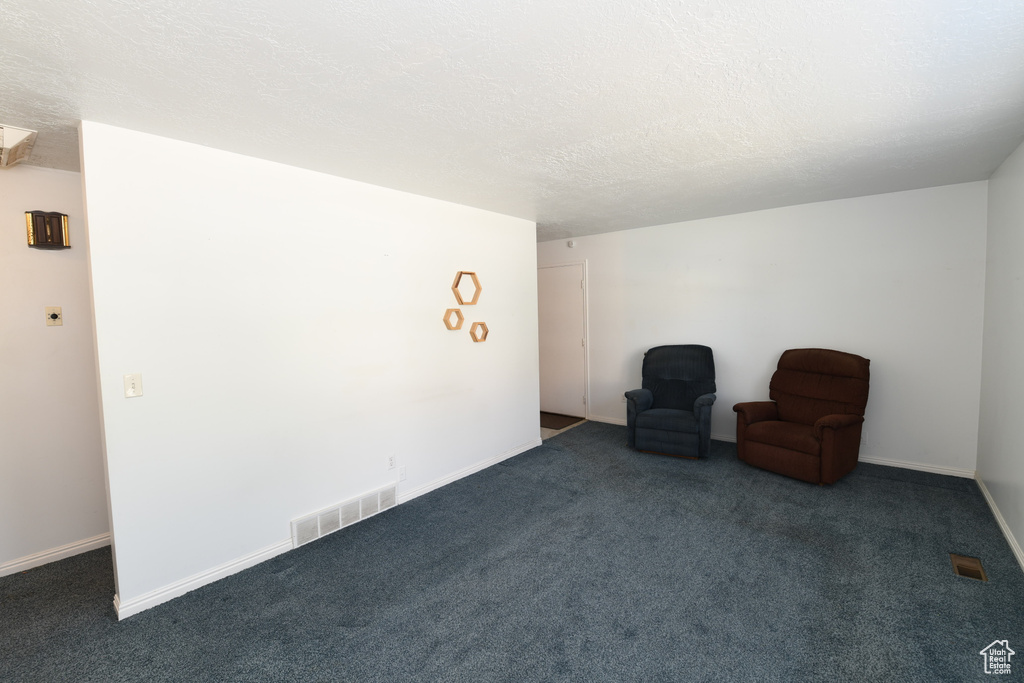 Unfurnished room featuring carpet and a textured ceiling
