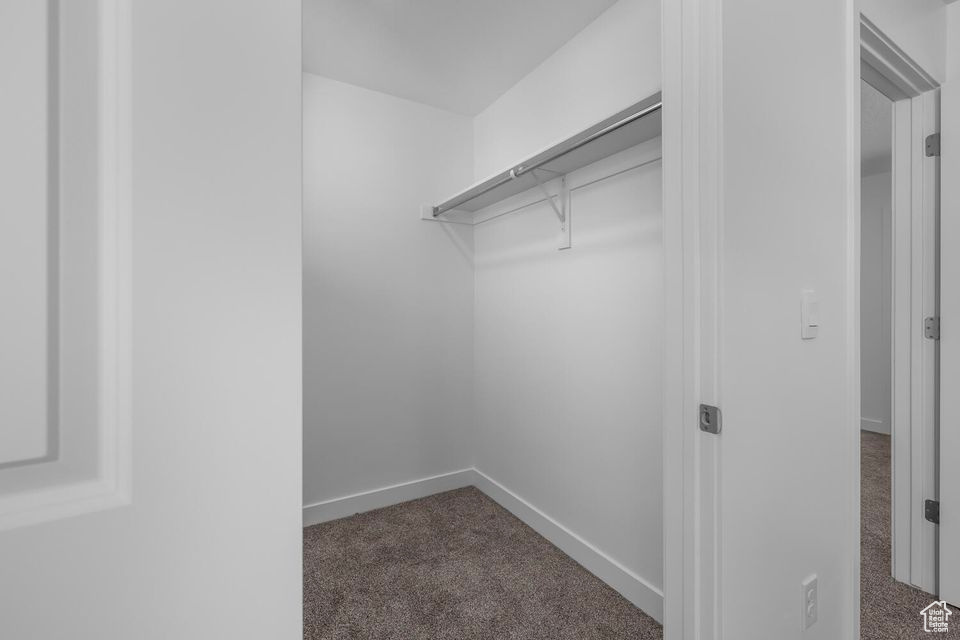 Spacious closet with carpet