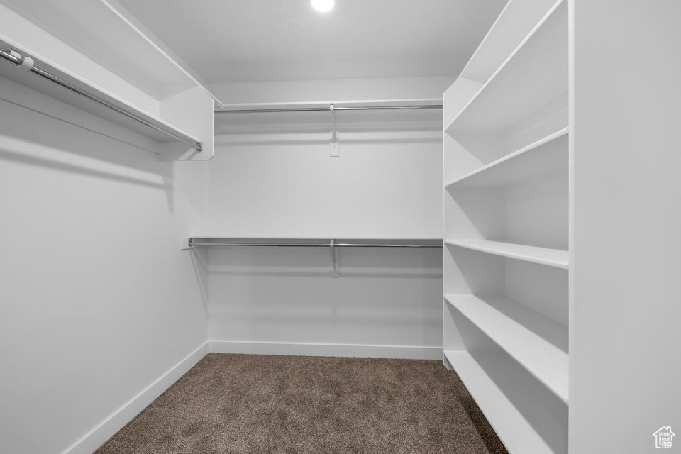 Walk in closet featuring carpet